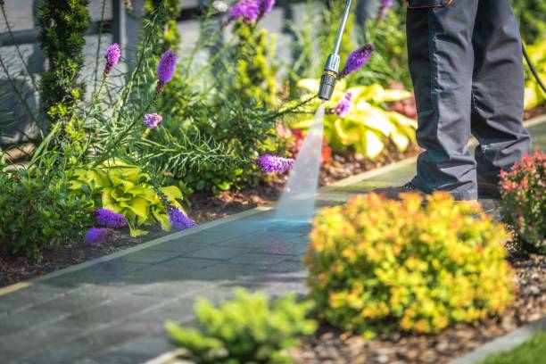 Best Patio and Deck Pressure Washing  in Pismo Beach, CA